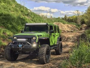 Snake Skin Jeep